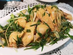 葱油嫩鸡-熠盛粤味(永康路店)