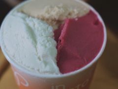 无花果叶-Dip in Gelato(富民路店)