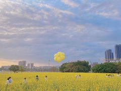 -光明小镇欢乐田园