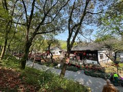 -兴福老面馆(寺路街店)