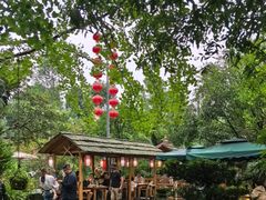 -青城甲(青城山店)