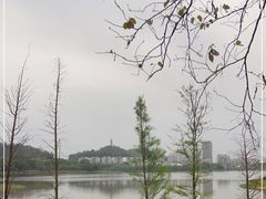 -水濂山水库景点停车场