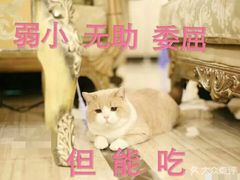 -品利源凉皮(数码广场店)