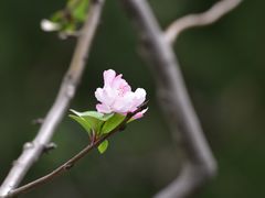 -共青国家森林公园-售票处