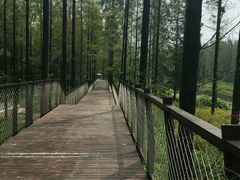 -黄海国家森林公园