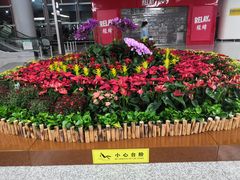 -石家庄正定国际机场-T2航站楼