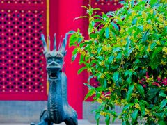 -颐和园