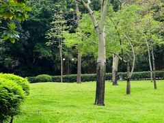 -晓港公园
