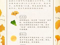 -新东方素质成长中心(交大常春藤校区)