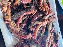 -老保定驴肉馆(云岗路店)