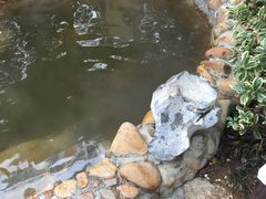 -深业半汤御泉庄温泉