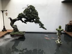 -觀芷隐轩