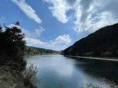 -武陵山森林公园