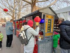 -朝阳公园游乐园