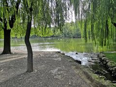 -银树楼(紫玉山庄东区店)