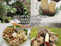 -西双版纳原始森林公园