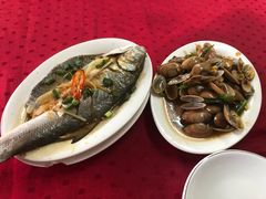 -蛇口康乐快餐鱼仔档(翠苑小区店)
