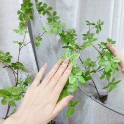 -MOMO·Nail美甲美睫
