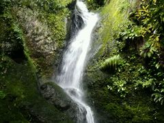 android_upload_pic-石台牯牛降景区