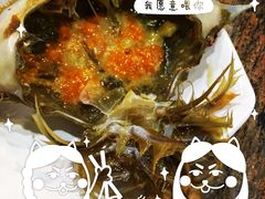 -普乐酱蟹(coex店)