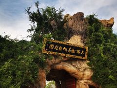 -大槐树寻根祭祖园