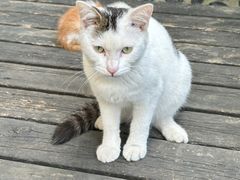 -复旦大学附属华山医院(总院)