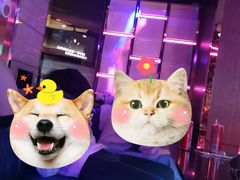 -温莎KTV(珠江路店)