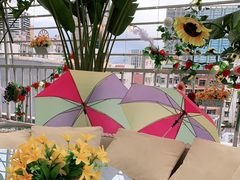 -天空花园餐吧·生日·团建(南山店)