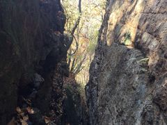 -天女山森林公园