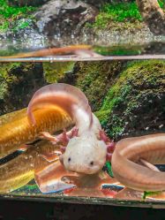 -酷嗒动物文化乐园(cutezoo西溪乐天城店)