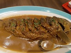 -郑州美盛喜来登大酒店