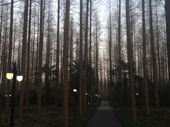 -上海怡沁园度假酒店