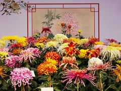 -国家植物园
