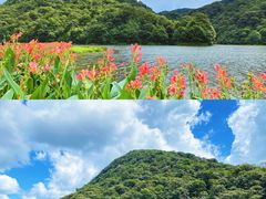 -广州市石门国家森林公园