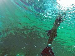 -重庆市奥林匹克体育中心-游泳跳水馆