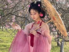 -天适樱花悠乐园