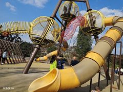 -枫香湖儿童公园