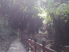 -凤栖山