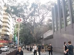 -九龙公园