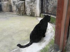 -南昌动物园