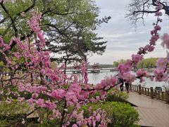 -长春市南湖公园