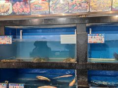 -华盛丰温州大排档(东三环南路店)