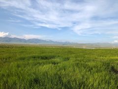 -花湖生态旅游区