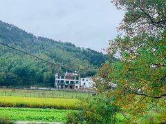 -塔川景区