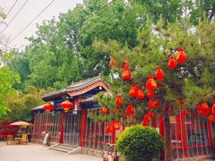 -中卫御苑福膳·养生局(圆明园店)