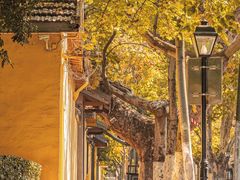 -南京中国近代史遗址博物馆(南京总统府)