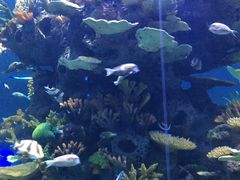 -多彩贵州城极地海洋世界