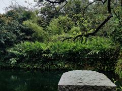 -广州兰圃
