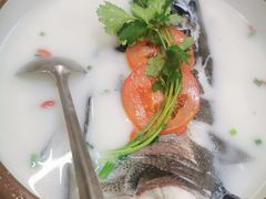 -全乐鱼馆·淳牌有机鱼直营店