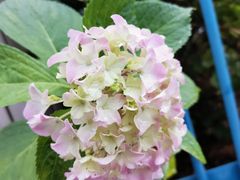 -魔方公寓(宁国路店)